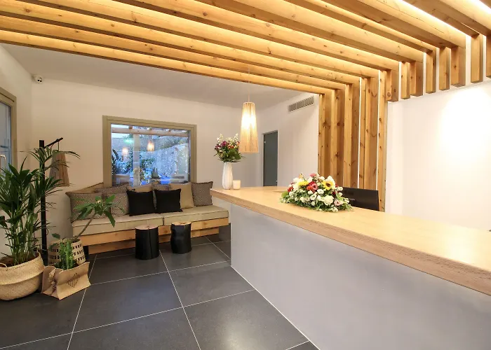 Mykonos Cactus Ornos (Mykonos)