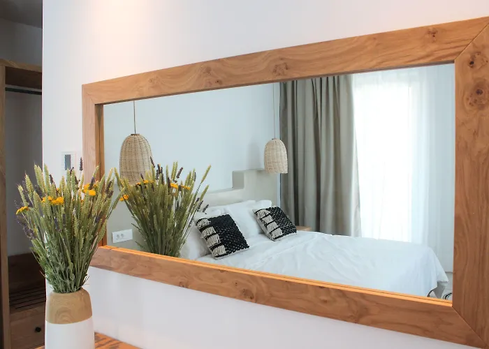 Otel Mykonos Cactus Ornos (Mykonos)