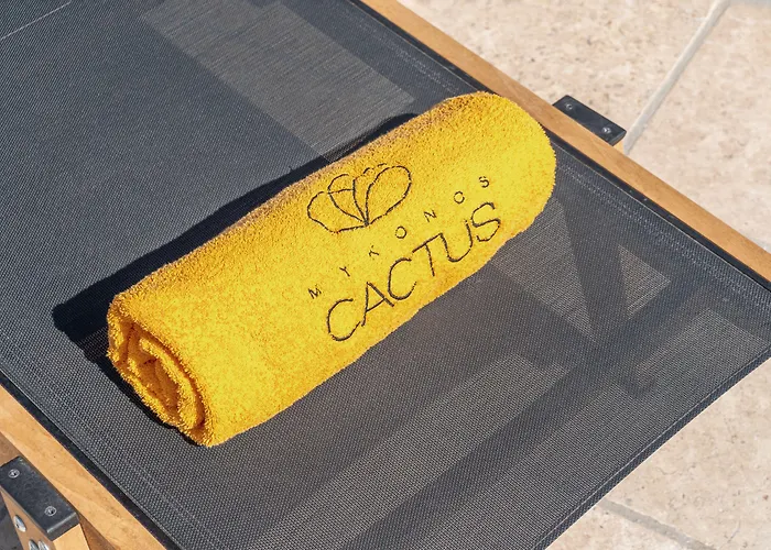 Otel Mykonos Cactus Ornos (Mykonos)