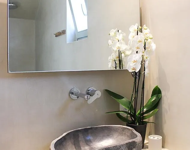 Mykonos Cactus Otel Ornos (Mykonos)