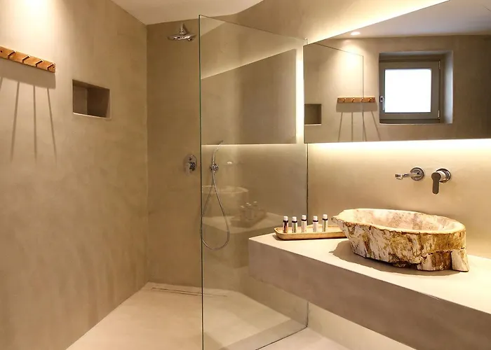 Mykonos Cactus Otel Ornos (Mykonos)