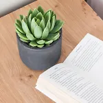 Hotel Mykonos Cactus 3*