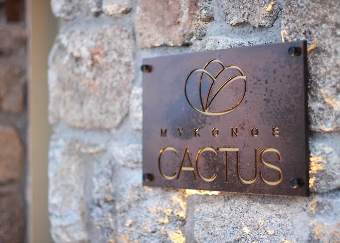 Hotel Mykonos Cactus