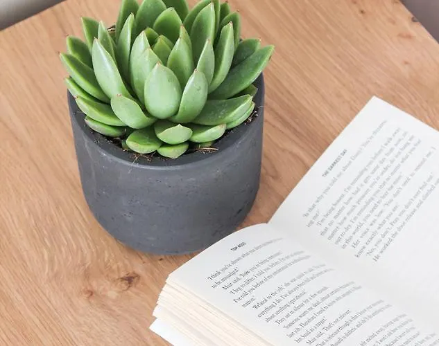 Hotel Mykonos Cactus 3*