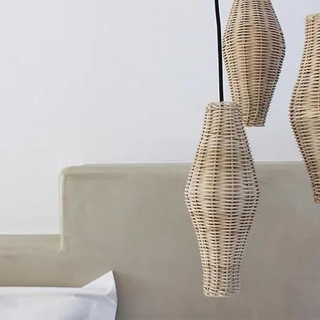 Mykonos Cactus Hotel Ornos (Mykonos)