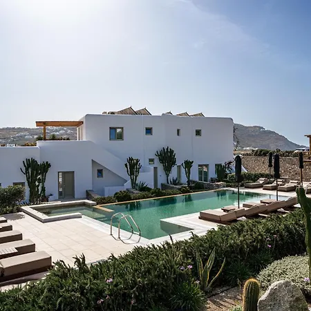 Mykonos Cactus