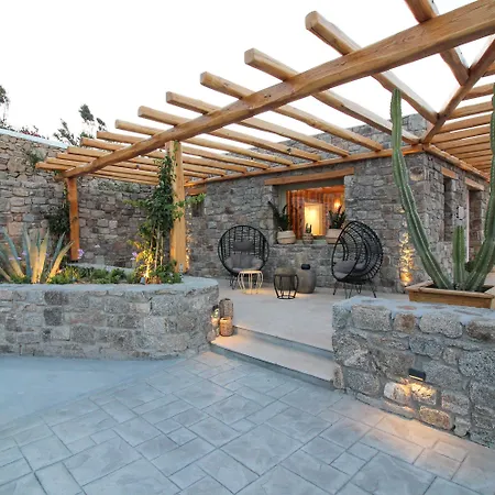 Mykonos Cactus Hotel Ornos (Mykonos)
