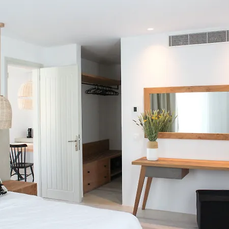 Hotel Mykonos Cactus Ornos (Mykonos)