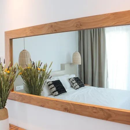 Hotel Mykonos Cactus Ornos (Mykonos)