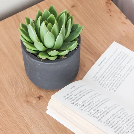 Mykonos Cactus 3* Ornos (Mykonos)