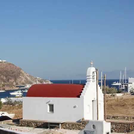 Mykonos Cactus
