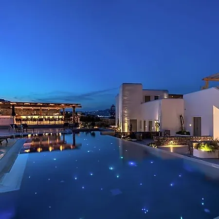 Hotel Mykonos Cactus Ornos (Mykonos)