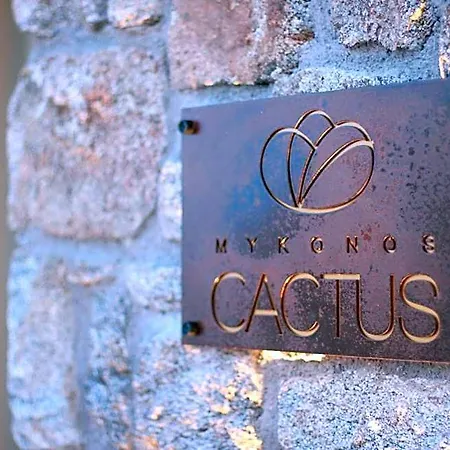 Mykonos Cactus 3* Ornos (Mykonos)