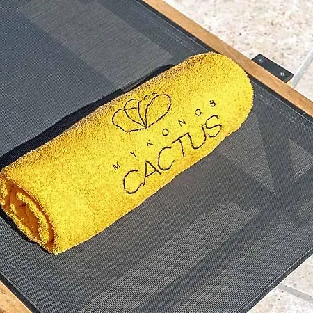 Mykonos Cactus Hotel 3*