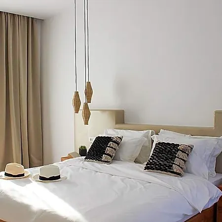 Mykonos Cactus Hotel Ornos (Mykonos)