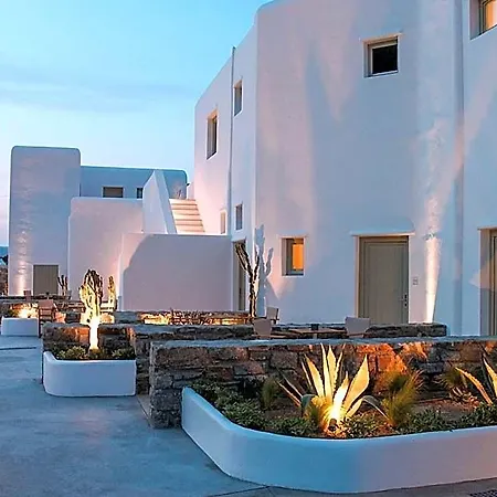 Mykonos Cactus