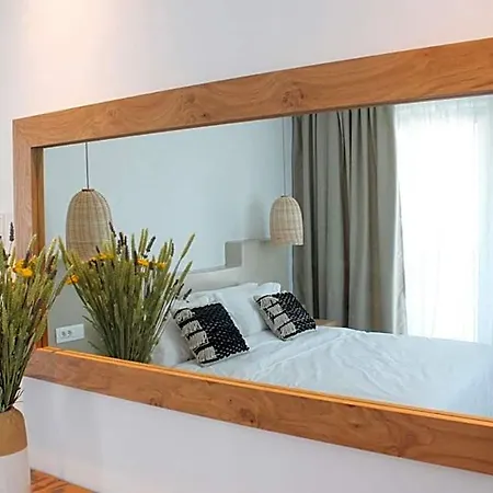 Mykonos Cactus Hotel Ornos (Mykonos)