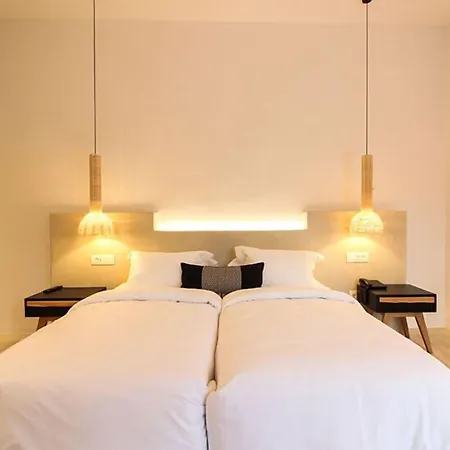 Hotel Mykonos Cactus Ornos (Mykonos)