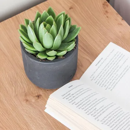 Hotel Mykonos Cactus 3*