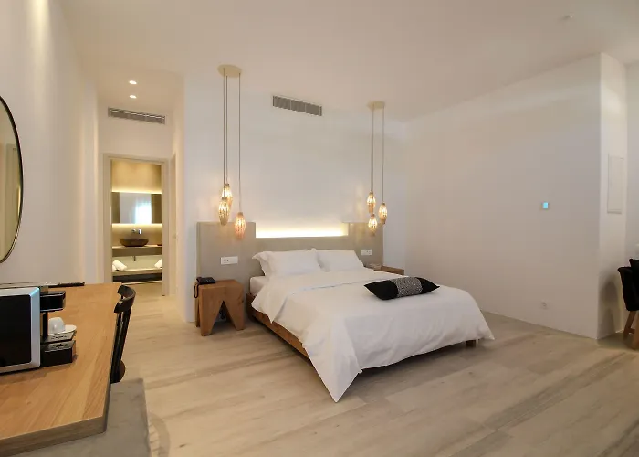 Mykonos Cactus Hotel Ornos (Mykonos)