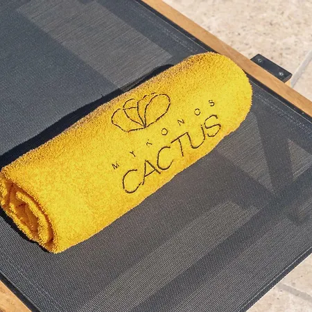 Mykonos Cactus