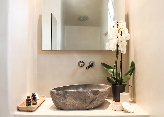 Mykonos Cactus 3* Ornos (Mykonos)