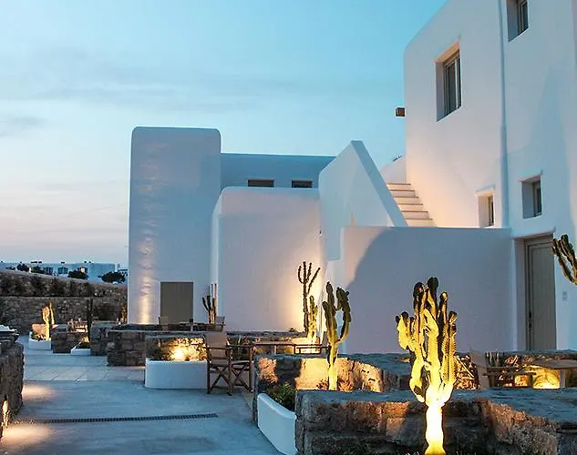 Mykonos Cactus